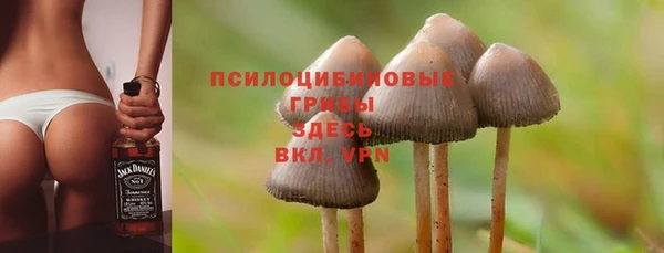 стаф Нефтекумск