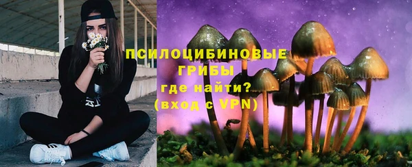 герыч Михайлов