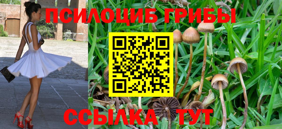 Галлюциногенные грибы Magic Shrooms Сочи